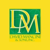 David Mancini & Sons gallery