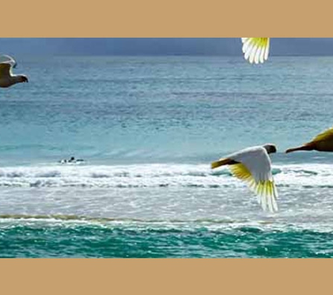 Byron Shire Council