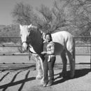 Equine Source Bodywork - Pet Training