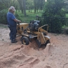 Stump Grinding Services gallery