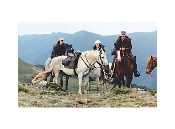 Packer's High Country Horse Riding - Anglers Rest, VIC