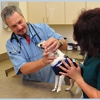 Mayde Creek Animal Clinic gallery