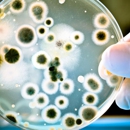 Nova Biologicals, Inc - Analytical Labs