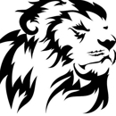 Mag Safe - Real Estate Appraisers