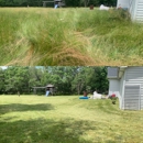 Marians Grass Cutting & Power Washing Services - Lawn Maintenance