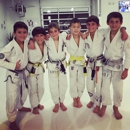 Art Of Jiu Jitsu
