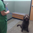 VCA Animal Care Center of Chicago - Veterinary Clinics & Hospitals