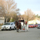 Sweetwater Ranch & Carriage Company - Stables