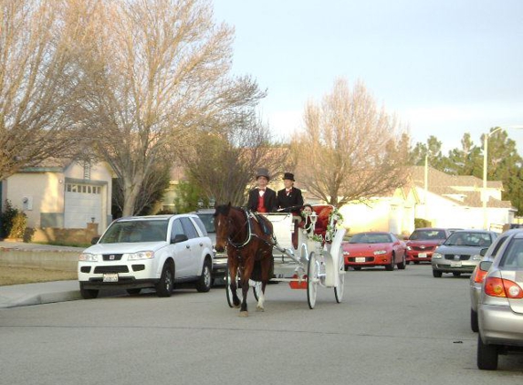 Sweetwater Ranch & Carriage Company - Lancaster, CA