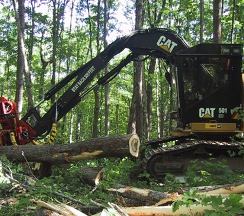 Green Timber Consulting Foresters Inc - Pelkie, MI