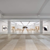 Apple West Town Mall gallery