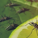 Independent Pest Management - Pest Control Equipment & Supplies
