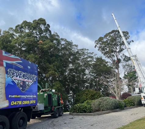 True Blue Tree and Stump Removal - Glass House Mountains, QLD