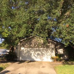 Kevin's Tree Service - Oviedo, FL