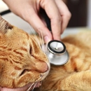 Madison Veterinary Clinic - Hostels