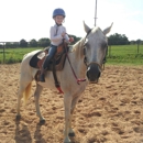 Little K Acres - Horse Training