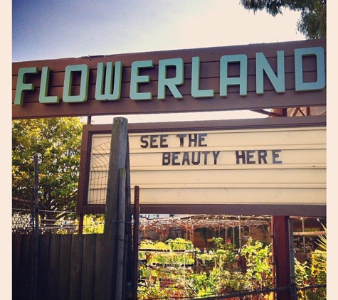 Flowerland Nursery - Albany, CA