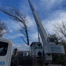 Kingkiner Tree Service - Arborists