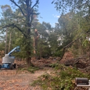 Stump Grinding Services