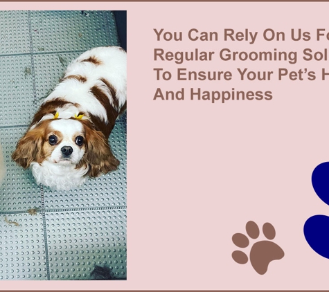 Scottie Clipz - Blackwood, SA. You Can Rely On Us For Regular Grooming Solutions To Ensure Your Pet’s Health And Happiness