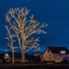 Gage Tree Service gallery
