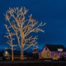 Gage Tree Service - Arborists