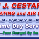 Cestaro Plumbing, Heating, & Air Conditioning - Water Damage Emergency Service