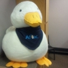 Aflac gallery