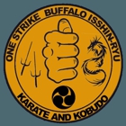 One Strike Buffalo Isshin Ryu Karate and Kobudo LLC