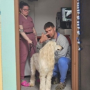 Westerville Veterinary Clinic - West Vets Emergency - Veterinarians