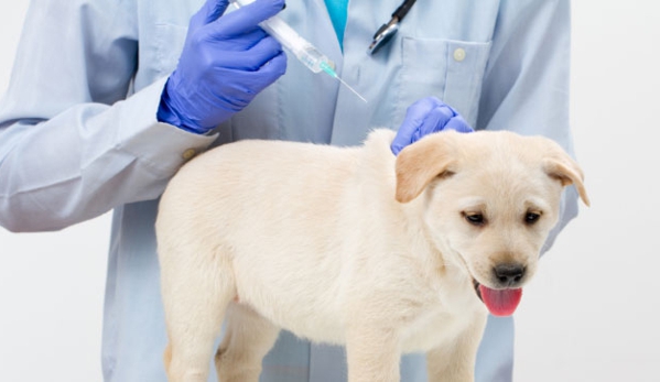 Bald Hills Veterinary Surgery - Bald Hills, QLD
