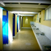 Gallery Image Number 7