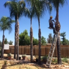 Vicente`s Tree Service