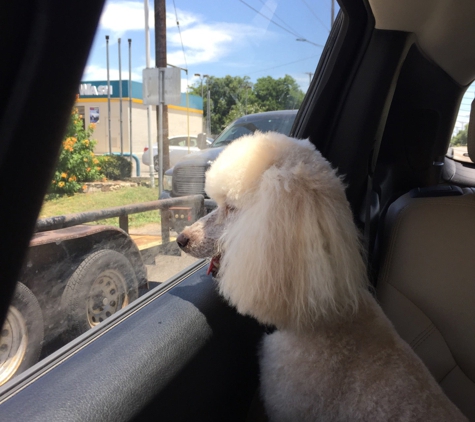 Noah's Ark Boarding & Grooming - New Braunfels, TX