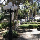 Anew Counseling & Wellness - Counseling Services