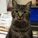 DR Fred F Nabers III - Veterinary Clinics & Hospitals