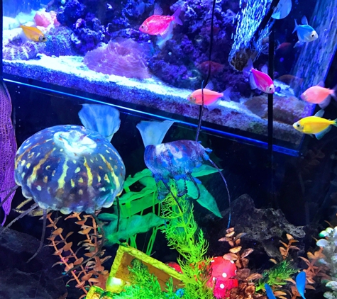 Seaside Tropical Fish & Pets - Huntington Beach, CA