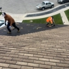 Waterproof Roofing gallery