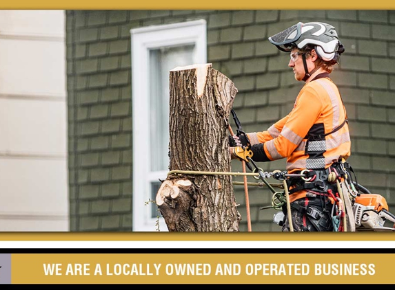 Specialised Tree Services - West Gosford, NSW. We Are A Locally Owned And Operated Business