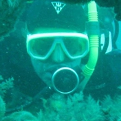 Gallery Image Number 4