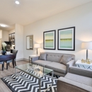 2727 Brazos Apartments - Apartment Finder & Rental Service