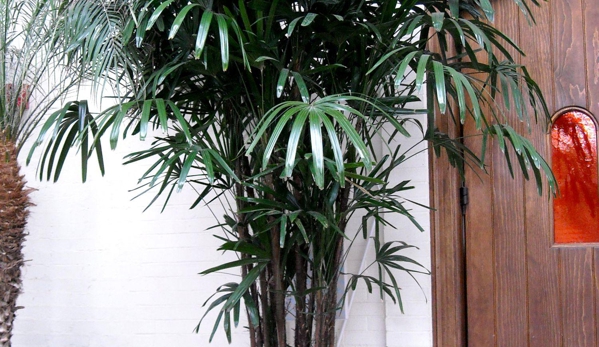 Exotic Plants Ltd. - Sacramento, CA