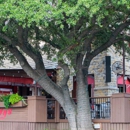 Shady's Burgers & Brewhaha - American Restaurants