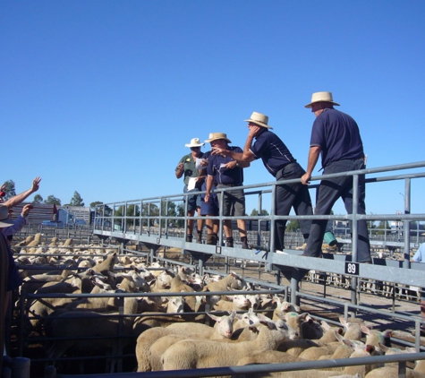 DMD Livestock & Property Agents Pty Ltd