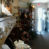 Plantagenet Rose Interiors gallery