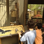 Carolina Raptor Center