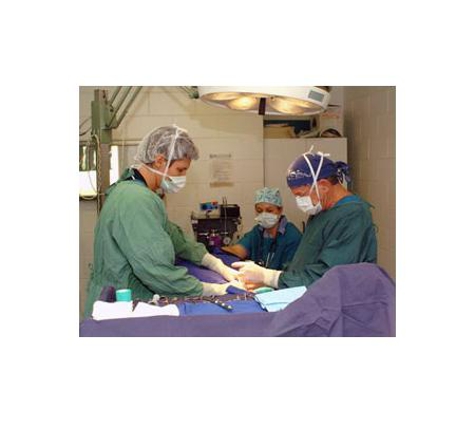 Townsville Veterinary Clinic - Aitkenvale, QLD