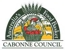 Cabonne Council - Molong Library