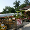 Coppola Garden Center gallery