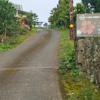 Kona Farm Direct Coffee Farm gallery